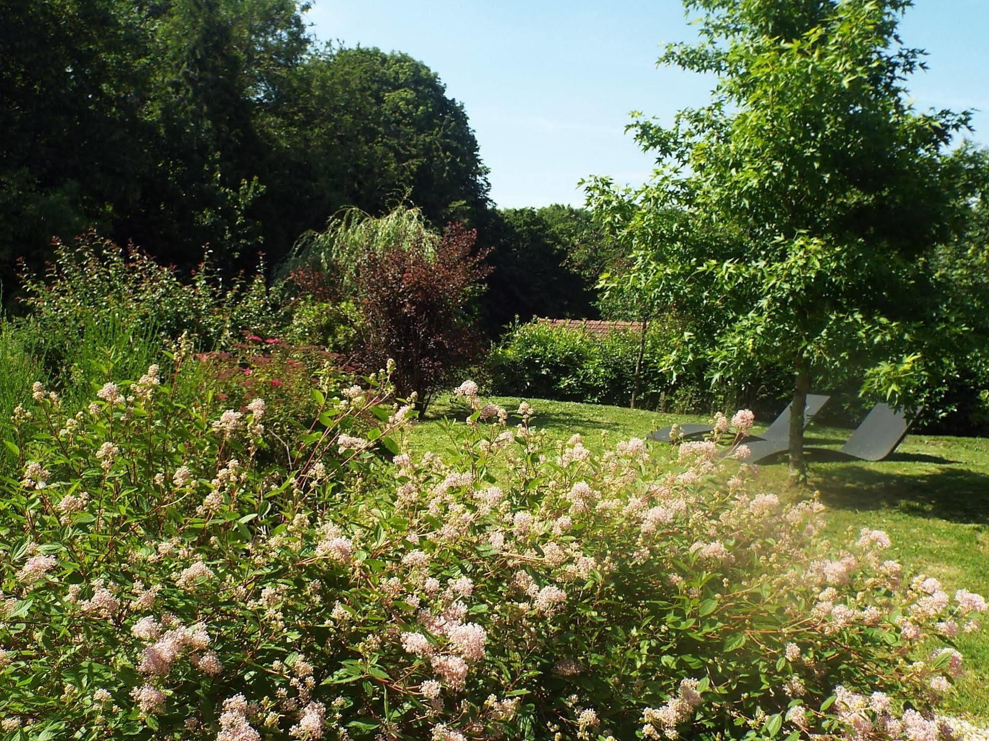 Les Roses De Montherlant Bagian luar foto